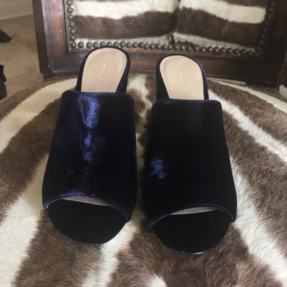 ann taylor mules